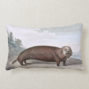 Sea Otter Illustration Lumbar Cushion