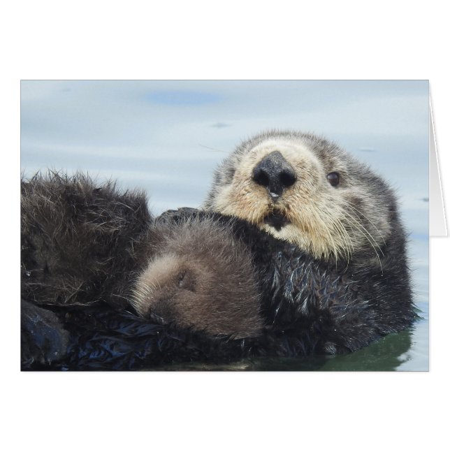 Sea Otter Mom and Pup (Front Horizontal)