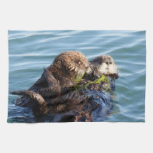 Sea Otter mother and pup with kelp