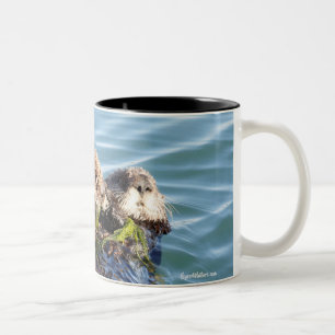 Sea Otter mother and pup with kelp Two-Tone Coffee Mug