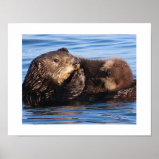 Sea Otter Mum and Adorable Pup Poster