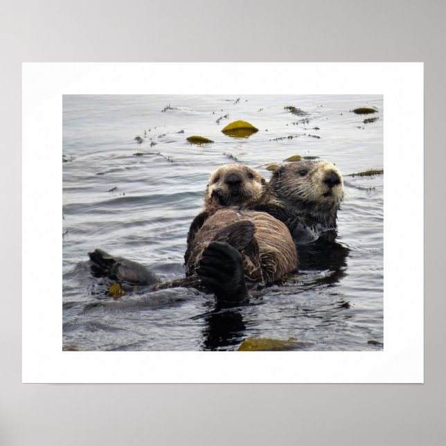 Sea Otter Mum and Pup Poster (Front)