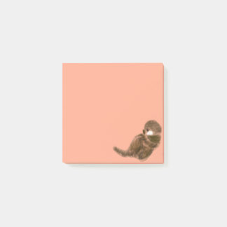 Sea otter post-it notes