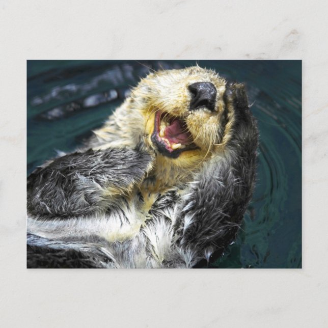 Sea Otter Postcard (Front)