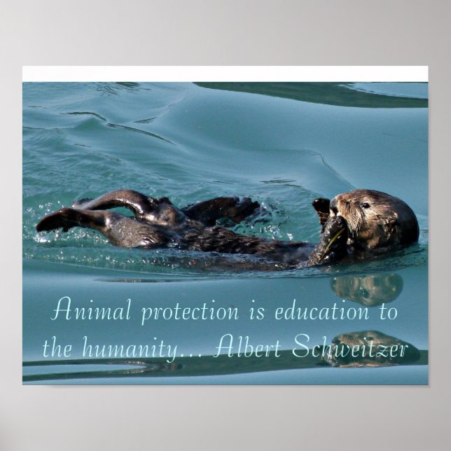Sea otter Reflection with Famous quote poster (Front)