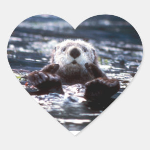 Sea Otter Swimming Heart Sticker