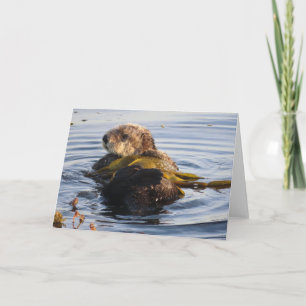Sea Otter Wrapped in Kelp Card
