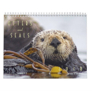 Sea Otters and Seals 2018 Wall Calendar - Wildlife