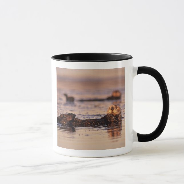 Sea Otters, Enhydra lutris 3 Mug (Right)