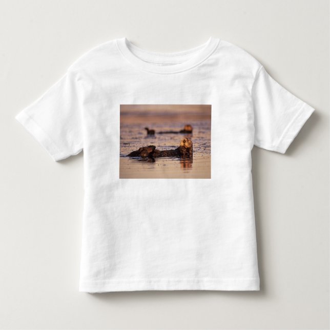 Sea Otters, Enhydra lutris 3 Toddler T-Shirt (Front)