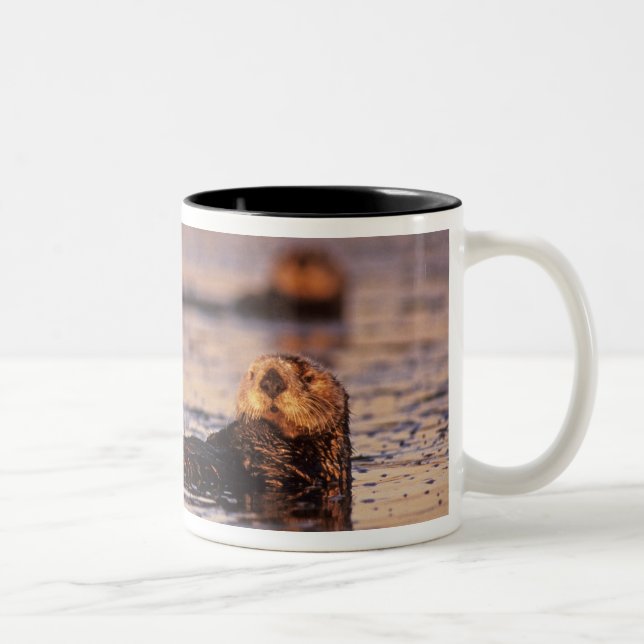 Sea Otters, Enhydra lutris 3 Two-Tone Coffee Mug (Right)