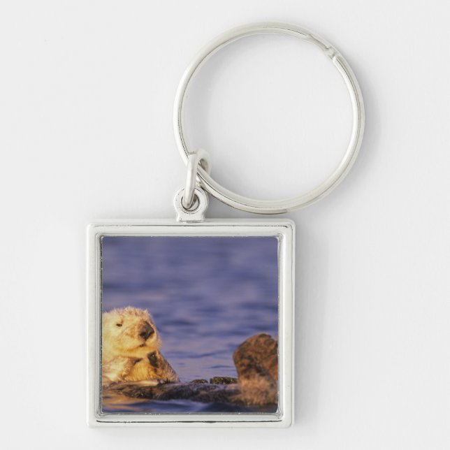 Sea Otters, Enhydra lutris 4 Key Ring (Front)