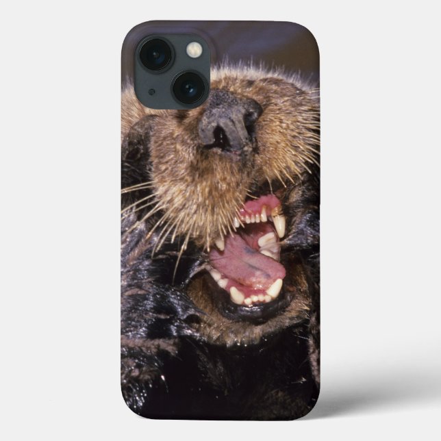Sea Otters, Enhydra lutris 6 Case-Mate iPhone Case (Back)