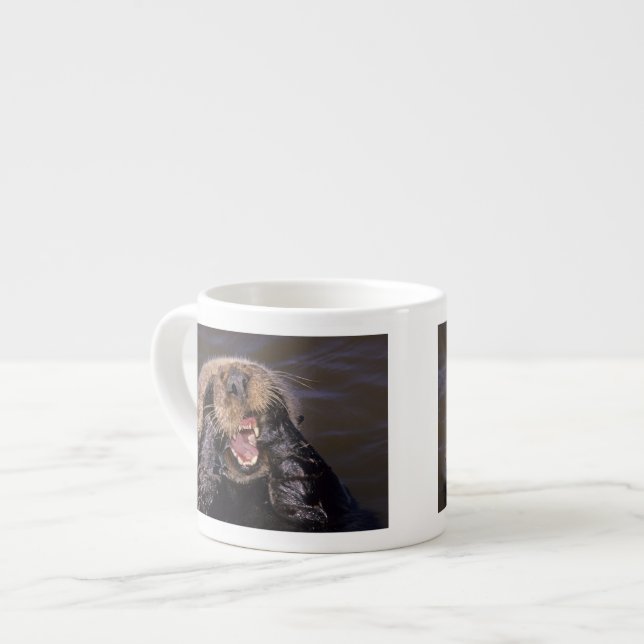 Sea Otters, Enhydra lutris 6 Espresso Cup (Front Left)