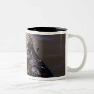 Sea Otters, Enhydra lutris 6 Two-Tone Coffee Mug