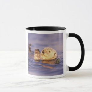 Sea Otters, Enhydra lutris Mug