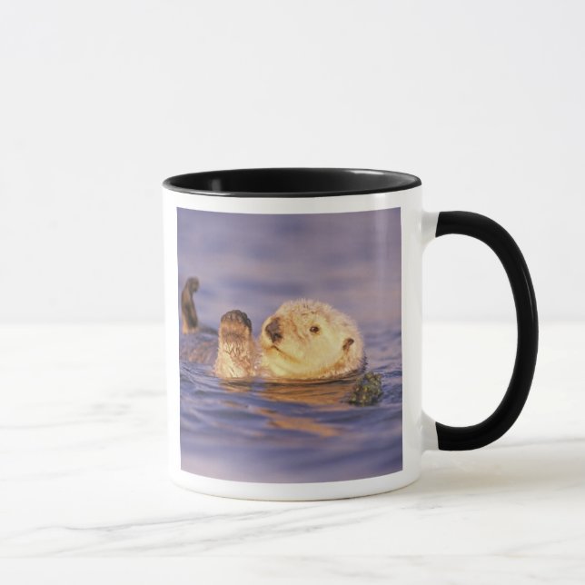 Sea Otters, Enhydra lutris Mug (Right)