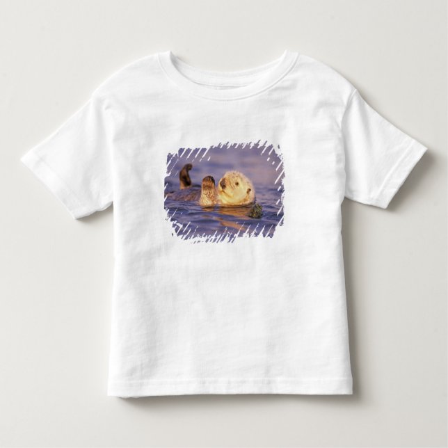 Sea Otters, Enhydra lutris Toddler T-Shirt (Front)