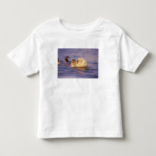 Sea Otters, Enhydra lutris Toddler T-Shirt