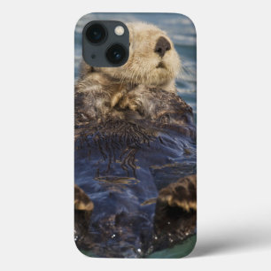 Sea otters play on icebergs at Surprise Inlet iPhone 13 Case