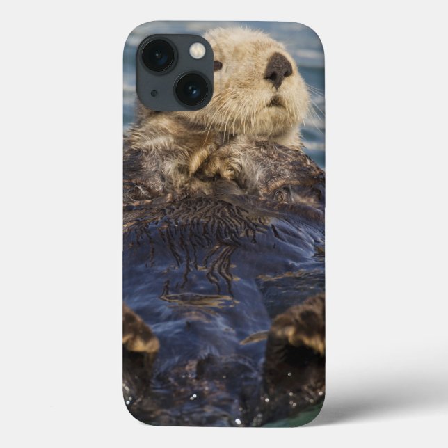 Sea otters play on icebergs at Surprise Inlet Case-Mate iPhone Case (Back)