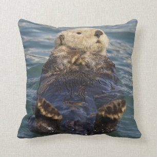 Sea otters play on icebergs at Surprise Inlet Cushion