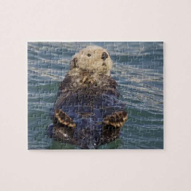 Sea otters play on icebergs at Surprise Inlet Jigsaw Puzzle (Horizontal)