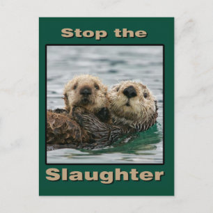 Sea Otters - Stop the Slaughter Postcard