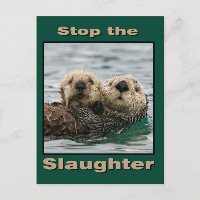 Sea Otters - Stop the Slaughter Postcard (Front)