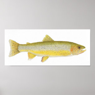 Sea Run Coastal Cutthroat Poster