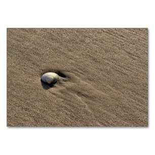 Sea shell at the beach table number