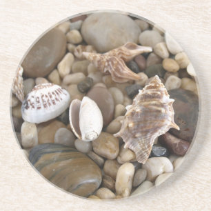 Sea Shell Background Coaster