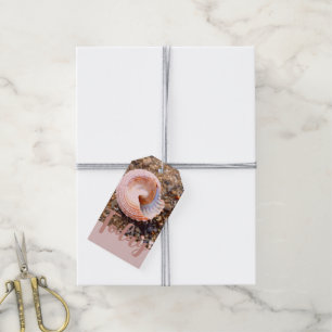 SEA SHELL BEACH PHOTO IMAGE ON PALE SALMON PINK GIFT TAGS