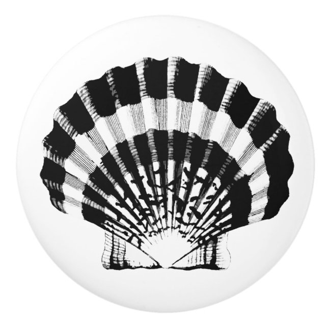 Sea Shell - black and white Ceramic Knob (Front)
