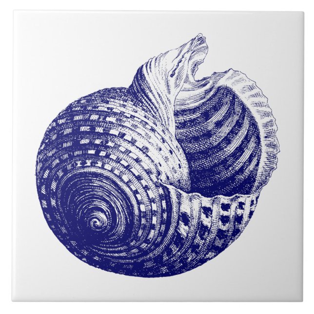 Sea shell Blue & White Ceramic Tile (Front)