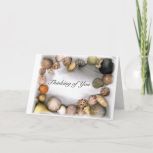 Sea Shell Bordered Template