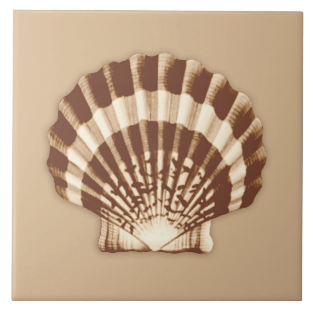 Sea Shell - brown and beige Tile (Front)