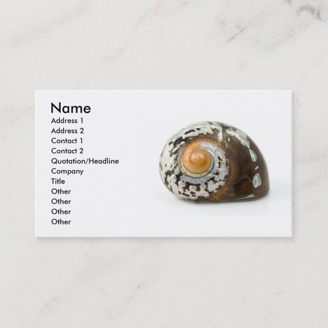 Sea Shell Business Card (Front)
