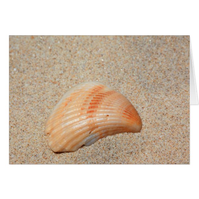 Sea Shell Card (Front Horizontal)