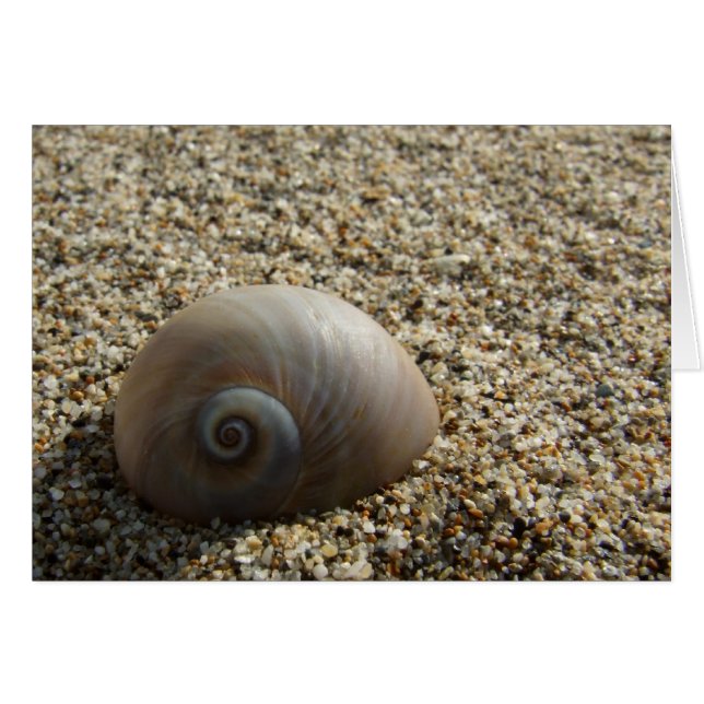 Sea Shell Card (Front Horizontal)