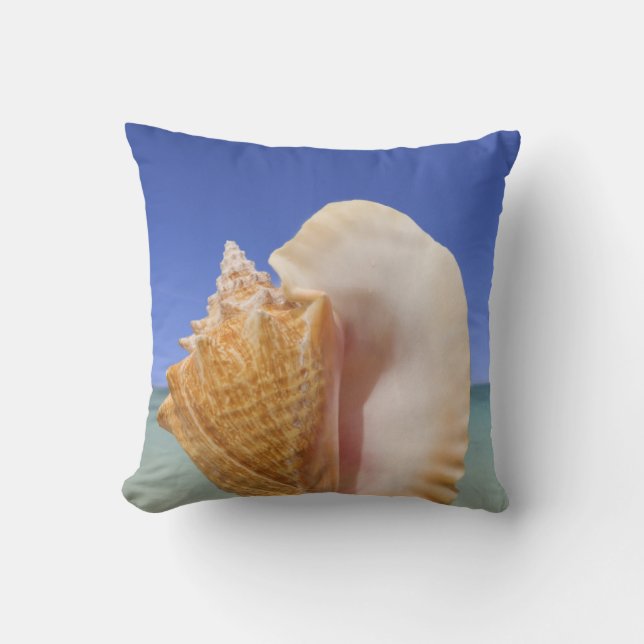 Sea Shell Close Up Cushion (Front)