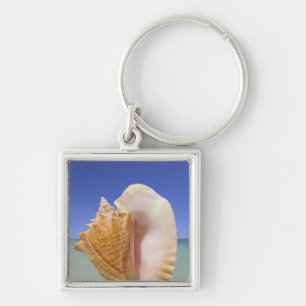 Sea Shell Close Up Key Ring