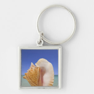 Sea Shell Close Up Key Ring