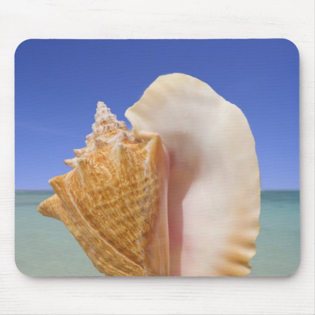 Sea Shell Close Up Mouse Pad (Front)