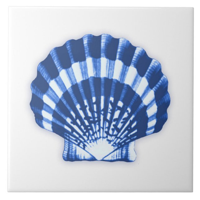 Sea Shell - cobalt blue and white Ceramic Tile (Front)