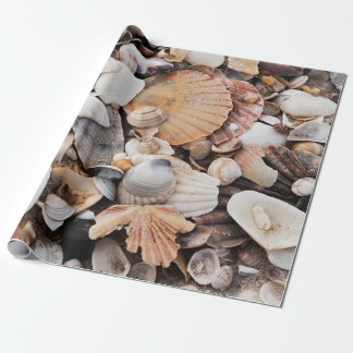 Sea shell design wrapping paper