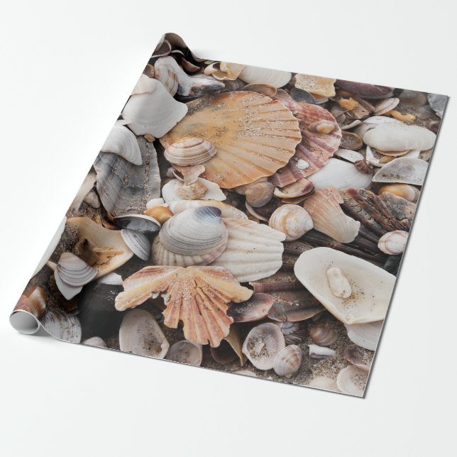 Sea shell design wrapping paper (Unrolled)