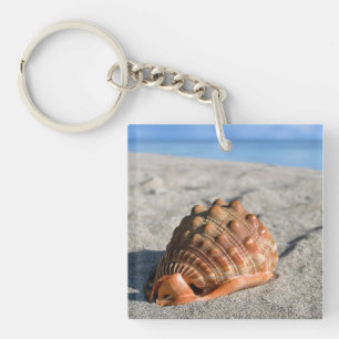 Sea shell, Giant conch, Cypraeacassis rufa Key Ring