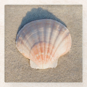 Sea Shell Laying On Sandy Beach Glass Coaster