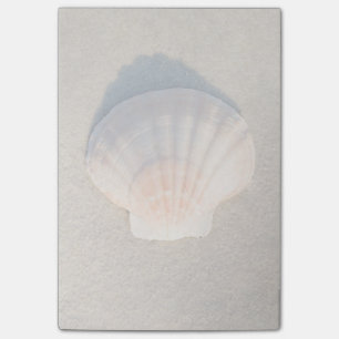 Sea Shell Laying On Sandy Beach Post-it Notes